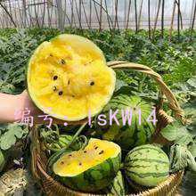 Сħ