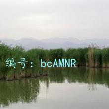 ҵ