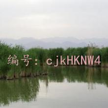 ҵ